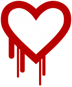 Heartbleed Bug